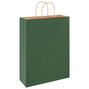 Papírové tašky 250 ks s uchy zelené 32x12x42 cm - obrázek 7