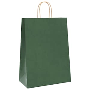 Papírové tašky 250 ks s uchy zelené 32x17x44 cm - obrázek 3