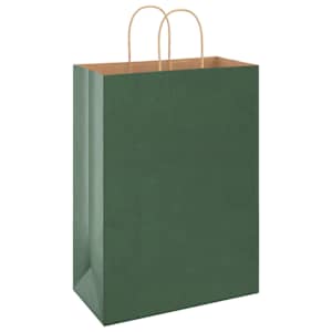 Papírové tašky 250 ks s uchy zelené 32x17x44 cm - obrázek 4