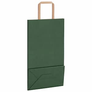 Papírové tašky 250 ks s uchy zelené 21x11x36 cm - obrázek 9