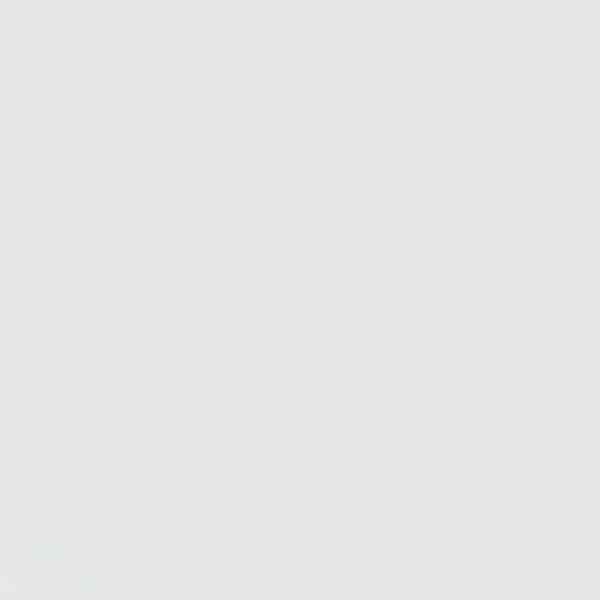 Toote pisipilt  12 / 14