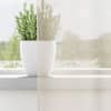 Toote pisipilt  3 / 9