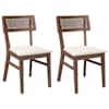 Brown_and_light