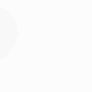 Bar Stoli z blazinami 2 kosa bele masivne lesene gume - slika 9