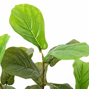 Umělý strom Ficus 48 listů 165 cm zelený - obrázek 4