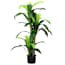  vidaXL zöld mesterséges dracaena fa 36 levéllel 120 cm termék 2. képe