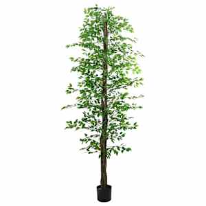 Umělá rostlina Ficus 2016 Listy 300 cm Zelená - obrázek 1