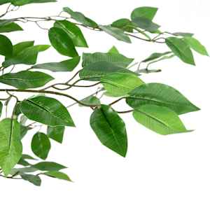 Umělá rostlina Ficus 2016 Listy 300 cm Zelená - obrázek 3