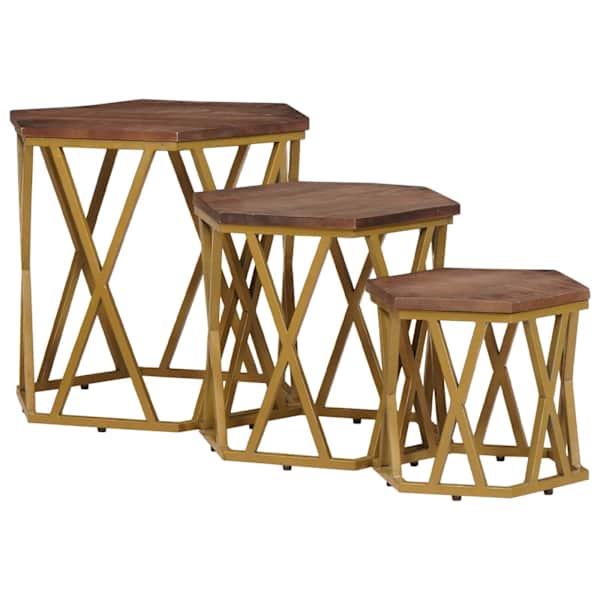 vidaXL Kohvilauad Pruun 55 x 55 x 50 cm Tugev mango puu