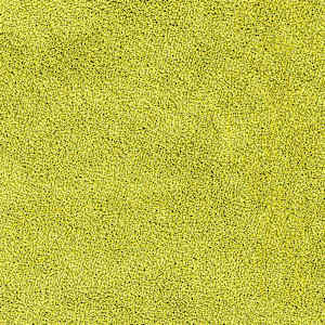 Protivdrsna preproga za kopalnico Zelena 70 x 120 cm PP - slika 8