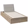Beige_and_cream