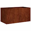 vidaXL Aia istutuspot Rooste 80 x 40 x 40 cm