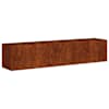 vidaXL Aia istutuspot Rooste 200 x 40 x 40 cm