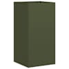 Olive_green