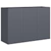 vidaXL taimekast, antratsiithall, 120x40x80 cm, k&uuml;lmvalts teras