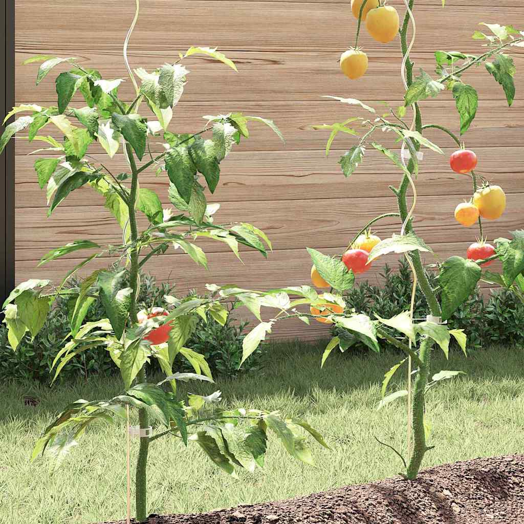 Supports de plantes en spirale vidaXL 5 pcs 150 cm en acier galvanisé