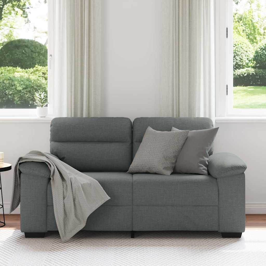 vidaXL 2-zitsbank 160x81x84 cm stof donkergrijs grijs, foto 2