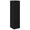 Black_oak