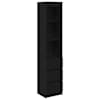 Black_oak