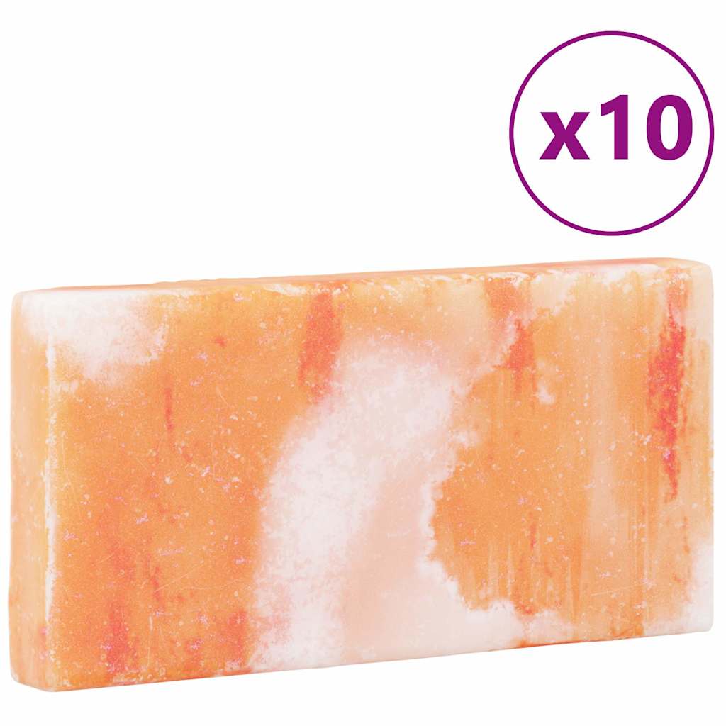 vidaXL Zoutstenen 10 st 20x10x2,5 cm 11,5 kg roze