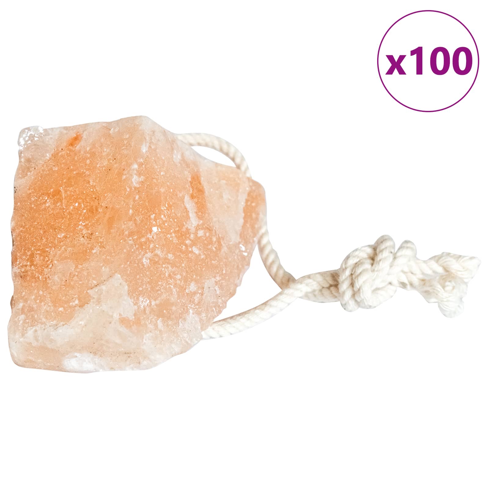 vidaXL Pietre de Sare pentru Lins Roz Sare de Piatră