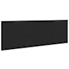 Black_oak