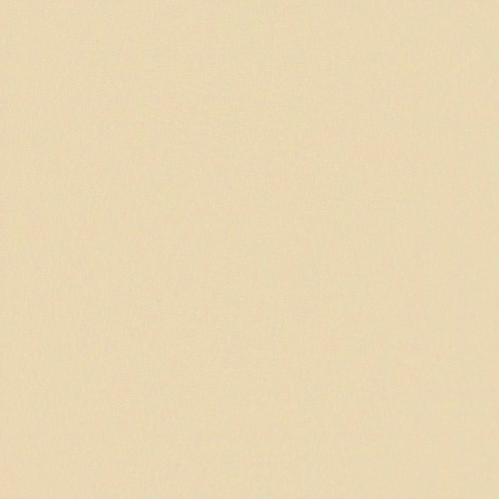 Varikatuse asenduskangas cream 4 x 2 m Polüester 6 Kõik vajalik sinu aeda ja koju! Varikatuse asenduskangas cream 4 x 2 m Polüester - Pilt 6