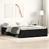 Black_oak