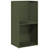 Olive_green