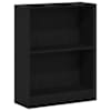 vidaXL Raamaturiiul 60 x 24 x 76 cm Tehispuit Must tamm