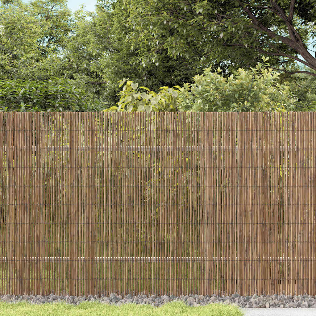 Have Rørhegnet 300x160 cm