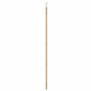 Posuvné dveře Přírodní 93 x 232 cm Masivní borové dřevo a sklo - obrázek 5