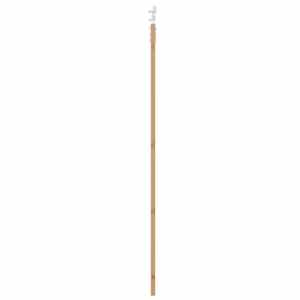 Posuvné dveře Přírodní 78 x 232 cm Masivní borové dřevo a sklo - obrázek 5