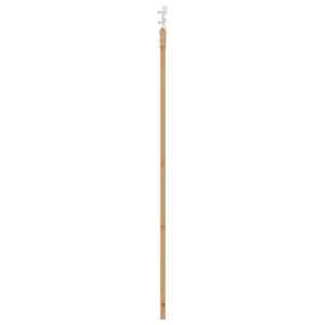 Posuvné dveře Přírodní 93 x 211 cm Masivní borové dřevo a sklo - obrázek 5