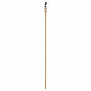 Posuvné dveře Přírodní 78 x 232 cm Masivní borové dřevo a sklo - obrázek 5
