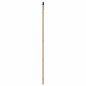 Posuvné dveře Přírodní 83 x 232 cm Masivní borové dřevo a sklo - obrázek 5