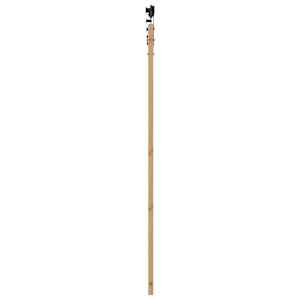 Posuvné dveře Přírodní 93 x 202 cm Masivní borové dřevo a sklo - obrázek 5