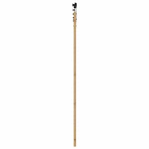 Posuvné dveře Přírodní 93 x 211 cm Masivní borové dřevo a sklo - obrázek 5