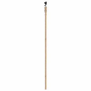 Posuvné dveře Přírodní 93 x 232 cm Masivní borové dřevo a sklo - obrázek 5