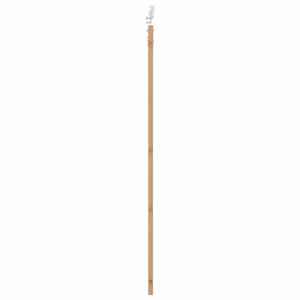 Posuvné dveře Přírodní 93 x 211 cm Masivní borové dřevo a sklo - obrázek 5