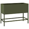 Olive_green