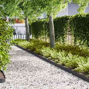 Robovi trave 30 pcs Črna 100 x 0,05 x 20 cm Medenina