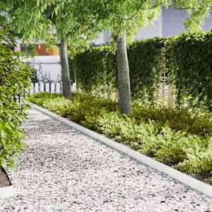 Robovi trave 30 pcs Bela 100 x 0,05 x 20 cm Medenina