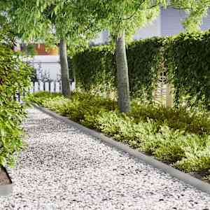 Robovi trave 30 pcs srebrna 100 x 0,05 x 20 cm Cinkana jeklena