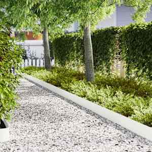 Robovi trave 30 pcs Bela 100 x 0,05 x 20 cm Medenina