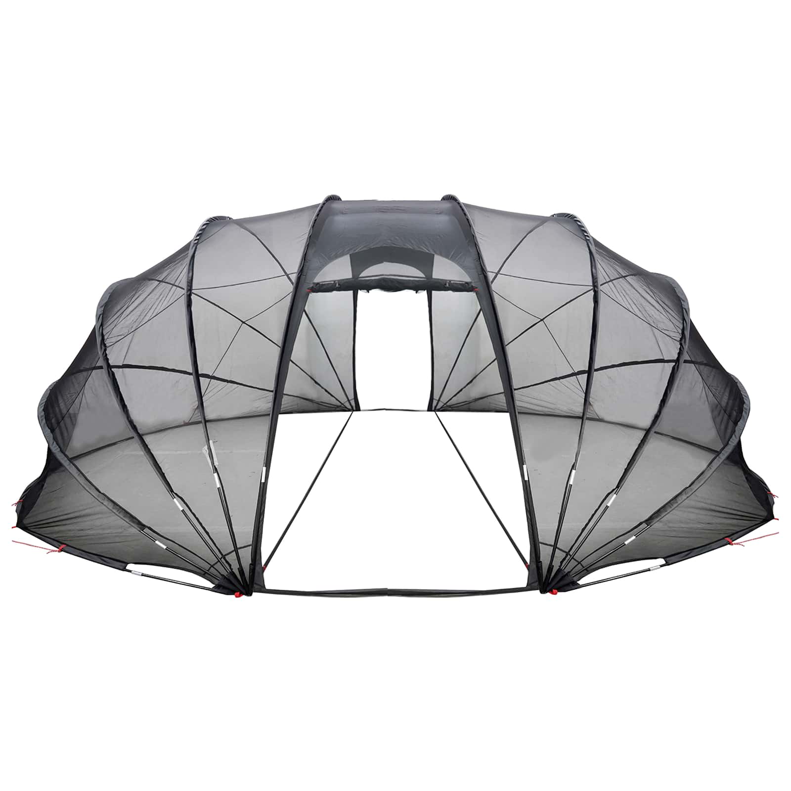 Zwembad Tent Koepel 538 x 440 x 204 cm Transparant image 5