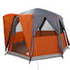 Grey_and_orange