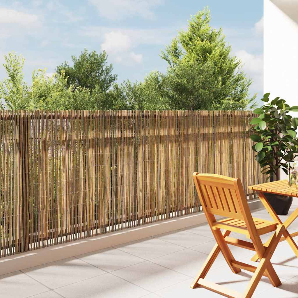 Bambu Aed 500x125 cm