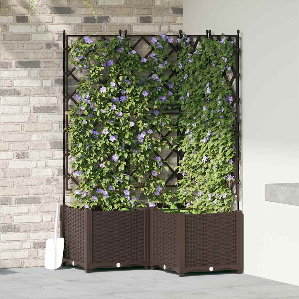 Aiakast trellisega 3 tk Pruun 80x80x143 cm