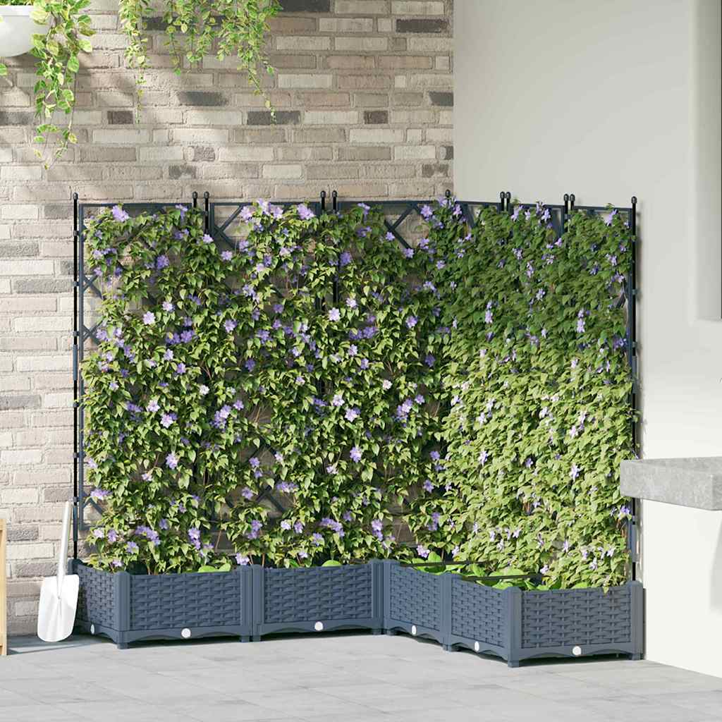 Haveplantekasse med Trellis 5 stk Grå 120x120x125.5 cm